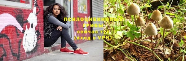 apvp Аркадак
