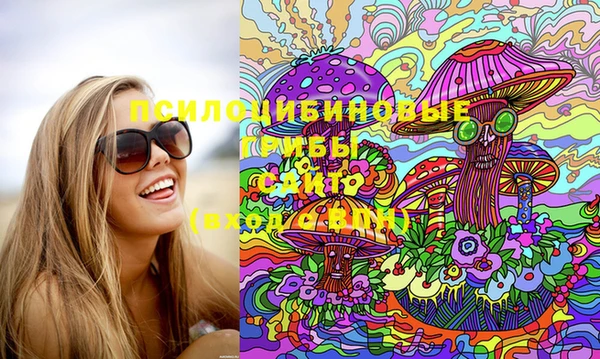 ПСИЛОЦИБИНОВЫЕ ГРИБЫ Балахна