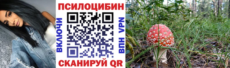 цена   Петропавловск-Камчатский  Псилоцибиновые грибы ЛСД 